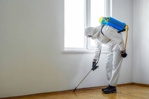 Trusted Gray, LA Pest Control Experts